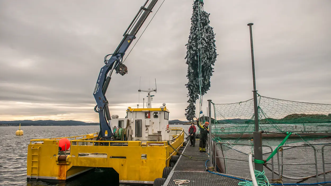 Service-fra-OK-Marine