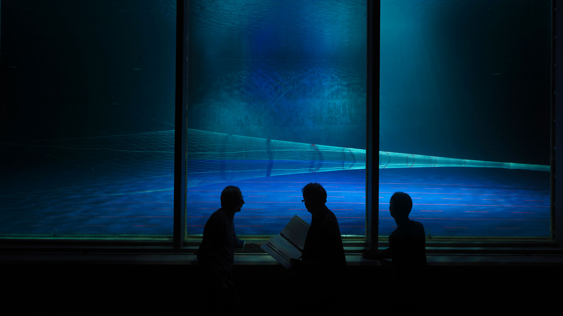 512m_pollock_stavsildtraal